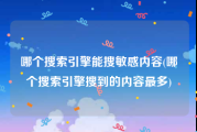 哪个搜索引擎能搜敏感内容(哪个搜索引擎搜到的内容最多)