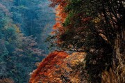光雾山宣传视频(光雾山风景区视频)