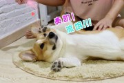 挠痒痒的短视频(头皮痒痒怎么治疗的短视频)