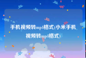 手机视频转mp4格式(小米手机视频转mp4格式)