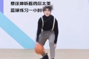 鸡你太美是哪首歌(鸡你太美是哪首歌蔡徐坤)