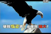 儿童励志短视频(儿童励志短视频怎么做)