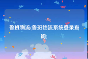 鲁班物流(鲁班物流系统登录查询)