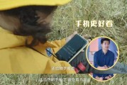 短视频专区国产精品的简单介绍