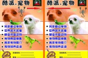 宠物店宣传视频(宠物店宣传视频怎么做)
