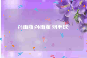 孙雨萌(孙雨萌 羽毛球)