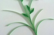 衍纸做花视频教程(用衍纸做花可以怎么做)