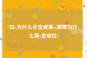 红v为什么会变成黄v(微博为什么黄v变成红)