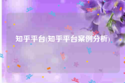 知乎平台(知乎平台案例分析)