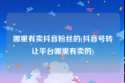 哪里有卖抖音粉丝的(抖音号转让平台哪里有卖的)