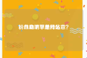 粉丝自助下单网站
，自助下单是什么意？