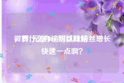 微博1元涨1000粉丝网站
，有什么办法可以让粉丝增长快速一点啊？