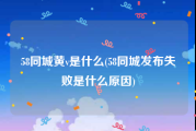 58同城黄v是什么(58同城发布失败是什么原因)