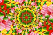 花朵短视频(唯美花朵短视频)