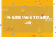 黄v在哪里申请(著作权在哪里申请)