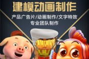 3d广告视频报价(广告公司做3d视频多少钱一次?)