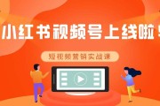如何宣传视频号(视频号如何投放广告)