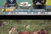 98短视频(98短视频版下载)