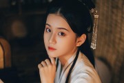 壁纸怎么弄视频(怎么视频弄成壁纸)
