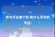 卖号平台哪个好(有什么买号的平台)