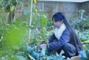 李子柒短视频分析(李子柒短视频内容分析)