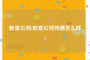 虾皮公司(虾皮公司待遇怎么样)