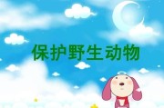 保护动物的宣传视频(保护动物的宣传视频英文)