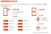 短视频销售(短视频销售招聘)