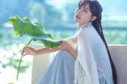 李子柒短视频所展示的中华魅力(李子柒短视频所展示的中华文化魅力)
