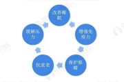 保健品线上销售(保健品线上销售渠道)