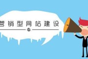 什么是营销型网站(什么是营销型公司)