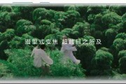 华为视频广告(华为视频广告合作)
