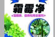 农药广告视频(农药广告视频你好毒)