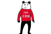 微博达人账号自助下单
，王思聪“陪玩账号”曝光，666元一小时，共接单14笔，消费金额却高达12万，你有何看法？