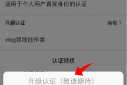 黄v审核多久(黄v身份认证要几天)