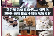 搞笑短视频题材哪里去找(搞笑短视频题材哪里去找素材)