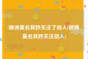 绿洲莫名其妙关注了别人(微博莫名其妙关注别人)