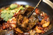 麻辣甲鱼的做法视频(麻辣甲鱼的做法视频窍门)