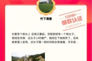 阅读量自助下单平台
，在哪里能看见阅读量100万+的文章啊？(单纯想看看)？