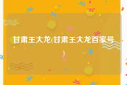 甘肃王大龙(甘肃王大龙百家号)