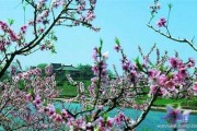 关于春天的短视频(关于春天的短视频策划案)