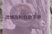 微博认证业务下单(微博业务在线下单平台)