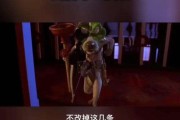 关于励志的短视频(关于励志的短视频制作)