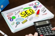 seo1短视频(seo1短视频)