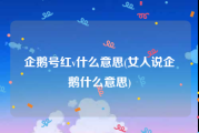 企鹅号红v什么意思(女人说企鹅什么意思)