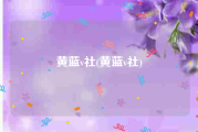 黄蓝v社(黄蓝v社)