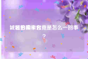 域名拍卖平台
，域名拍卖究竟是怎么一回事？