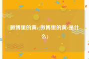 微博里的黄v(微博里的黄v是什么)