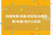 自媒体黄v和蓝v的区别(自媒体黄V和蓝V有什么区别)