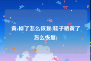 黄v掉了怎么恢复(鞋子晒黄了怎么恢复)